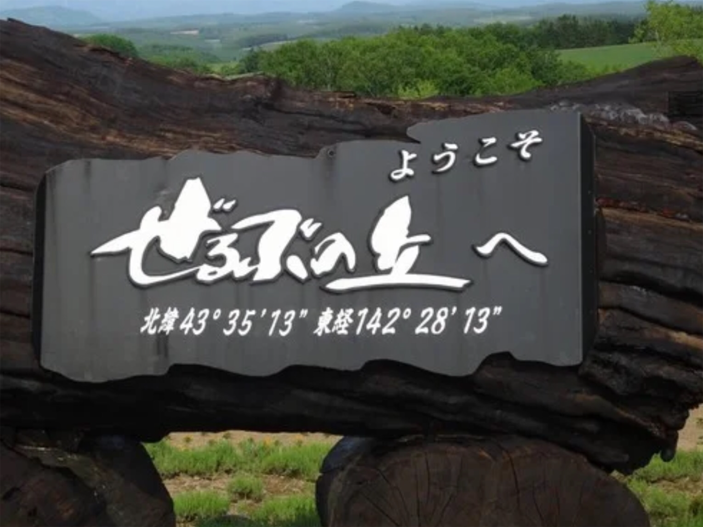 f:id:tonton929:20220905121008p:image f:id:tonton929:20220905121008p:image