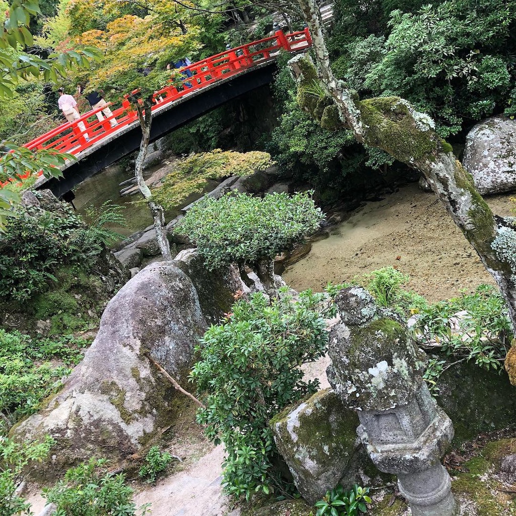 f:id:tontonkotu:20220219203349j:image