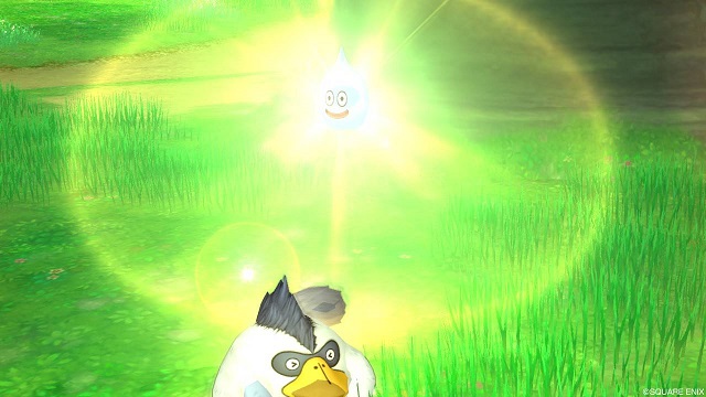 f:id:tontonsgarden:20200603073034j:plain