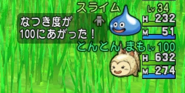 仲間モンスターを一日でフルカンストまで育てる方法 とんとんのお庭 仲間モンスターを一日でフルカンストまで育てる方法 とんとんのお庭