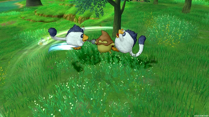 f:id:tontonsgarden:20200614175103j:plain f:id:tontonsgarden:20200614175103j:plain