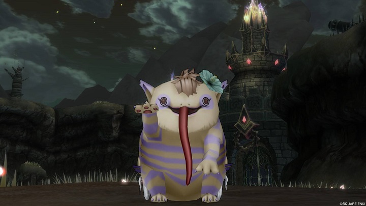 f:id:tontonsgarden:20200902052201j:plain f:id:tontonsgarden:20200902052201j:plain