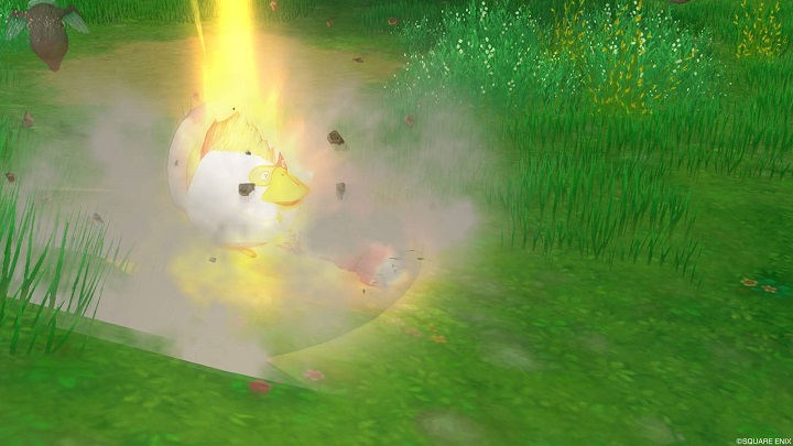 f:id:tontonsgarden:20200915232647j:plain