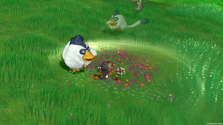 f:id:tontonsgarden:20200915232832j:plain