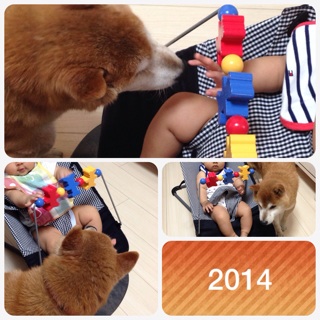 f:id:tontont:20140813061612j:plain f:id:tontont:20140813061612j:plain