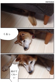 f:id:tontont:20141116204449j:plain f:id:tontont:20141116204449j:plain