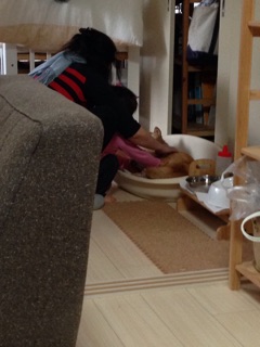 f:id:tontont:20141116211009j:plain f:id:tontont:20141116211009j:plain