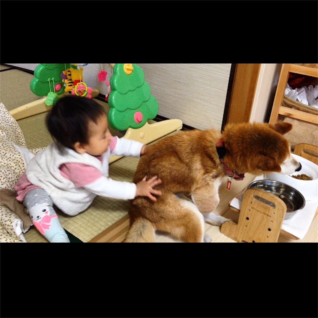 f:id:tontont:20190223224648j:image f:id:tontont:20190223224648j:image