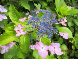 f:id:tontyan:20120623153548j:image f:id:tontyan:20120623153548j:image