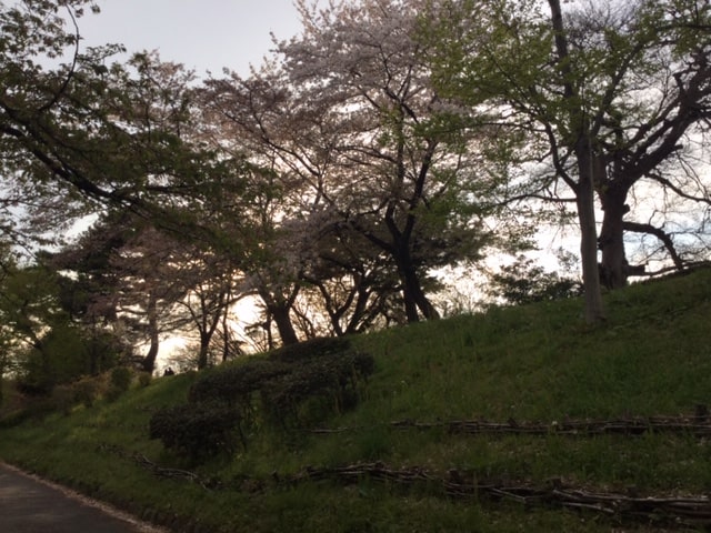 f:id:tonymctony:20190421134835j:plain