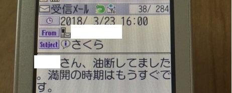 f:id:tonymctony:20190421134844j:plain