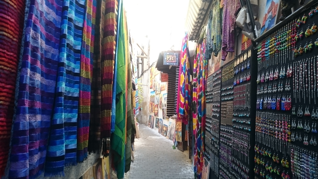 モロッコひとり旅 フェズ編 17年1月 Toococco S 女子ひとり旅