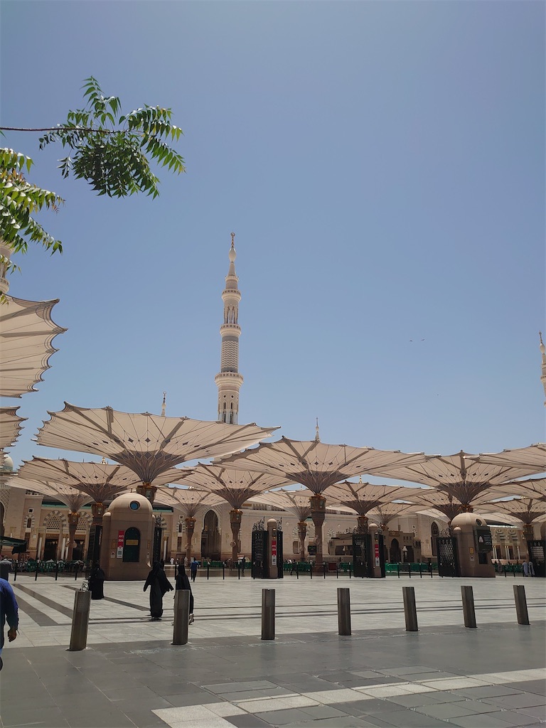 f:id:toococco:20250125002812j:image f:id:toococco:20250125002812j:image
