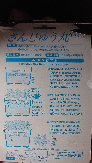 f:id:toohlee:20220831202340j:image
