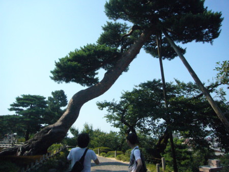 f:id:tookami:20110731043413j:image