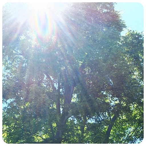 f:id:tool10reiya592:20180816214814j:image