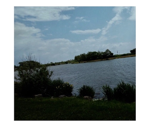 f:id:tool10reiya592:20190611220423j:image f:id:tool10reiya592:20190611220423j:image
