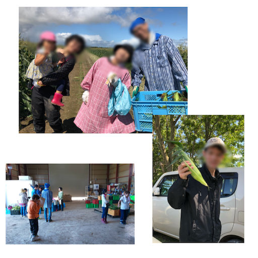 f:id:tool10reiya592:20190825224142p:image