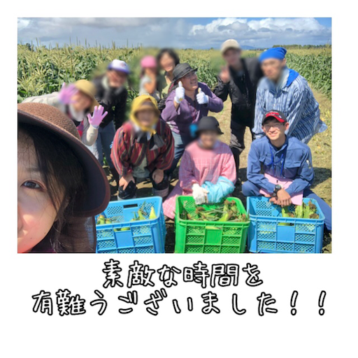 f:id:tool10reiya592:20190825224156p:image