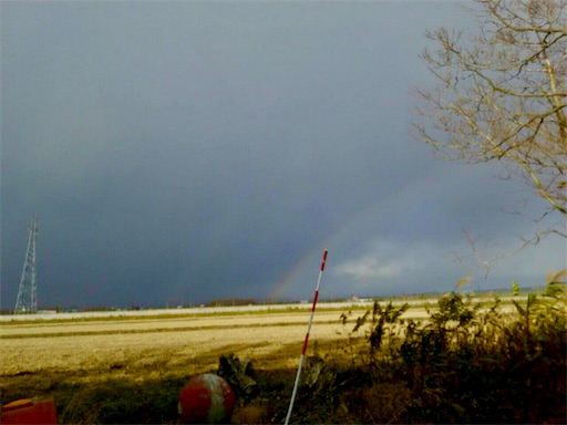 f:id:tool10reiya592:20191102231111j:image f:id:tool10reiya592:20191102231111j:image