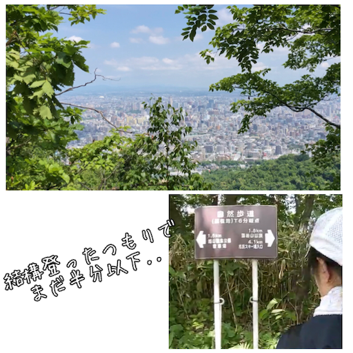 f:id:tool10reiya592:20200802123749p:image