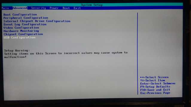 BIOSのAdvanced画面