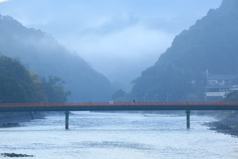 地元「宇治市」霧．．．？ - tooniiの写真日記