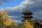 『京都　東寺　世界遺産』