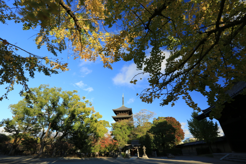 『京都　東寺　世界遺産』