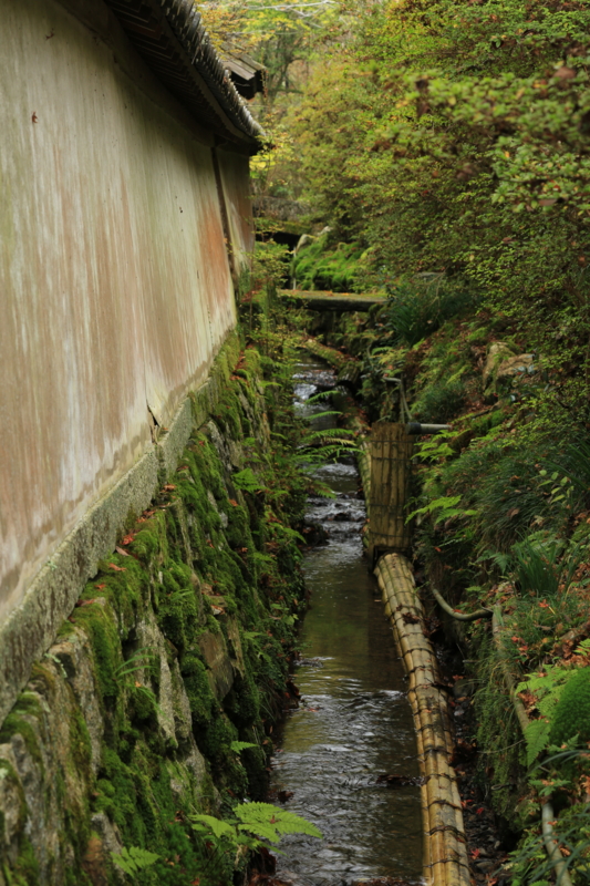 f:id:toonii:20151123100613j:image