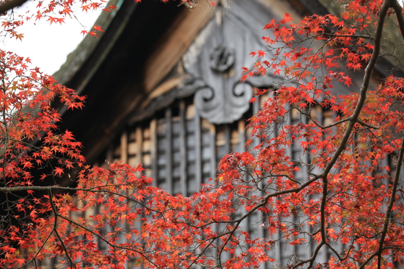 f:id:toonii:20151123102943j:image