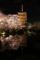『京都東寺　夜桜ライトアップ』