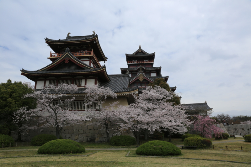 『伏見桃山城　桜』