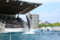 『京都水族館　イルカ』