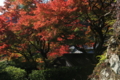 2016「善峯寺」紅葉