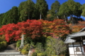 2016「善峯寺」紅葉