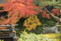 世界文化遺産「醍醐寺」三宝院