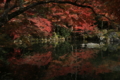 世界文化遺産「醍醐寺」伽藍