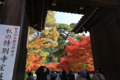 ２０１６「永観堂禅林寺」紅葉