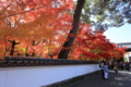 ２０１６「永観堂禅林寺」紅葉