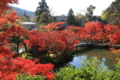 ２０１６「永観堂禅林寺」紅葉