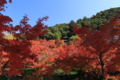 ２０１６「永観堂禅林寺」紅葉