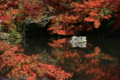 ２０１６「永観堂禅林寺」紅葉