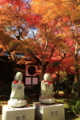 ２０１６「永観堂禅林寺」紅葉