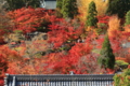 ２０１６「永観堂禅林寺」紅葉