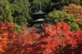 ２０１６「永観堂禅林寺」紅葉