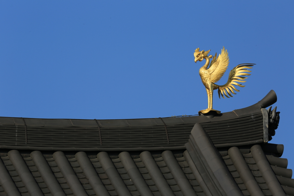 f:id:toonii:20170216090154j:plain