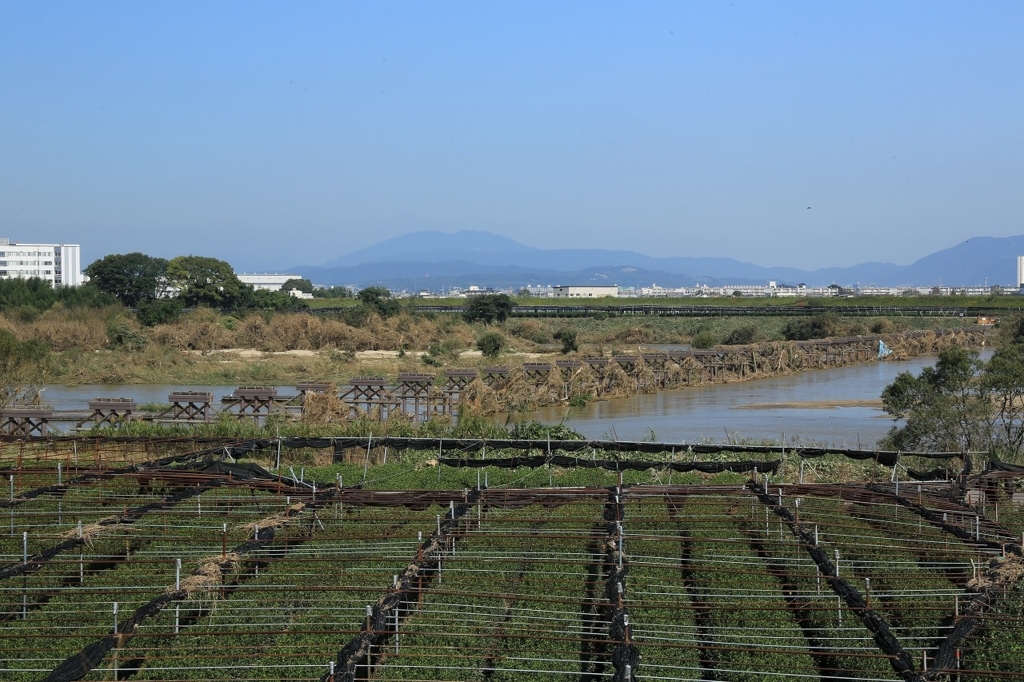 f:id:toonii:20171026150726j:plain f:id:toonii:20171026150726j:plain