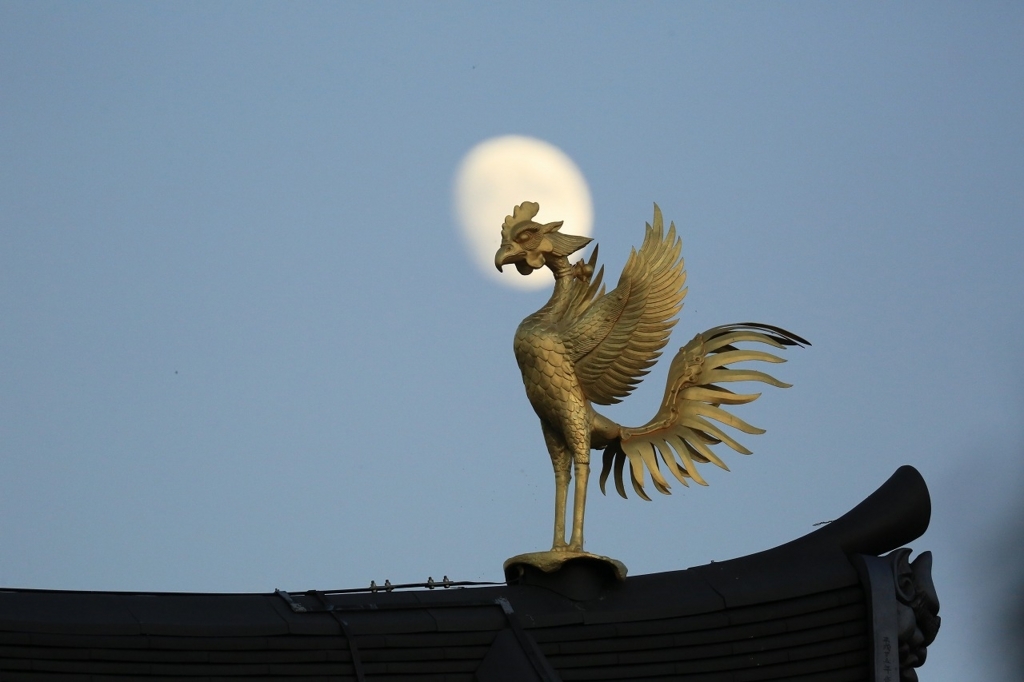 f:id:toonii:20171101214021j:plain