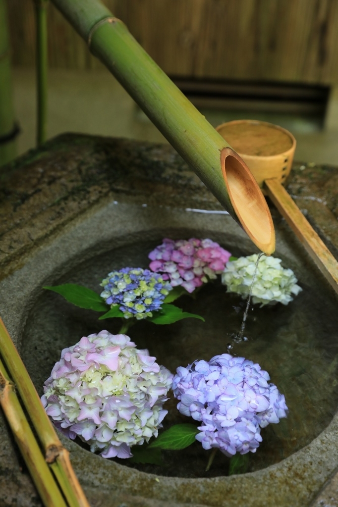 f:id:toonii:20180617124555j:plain